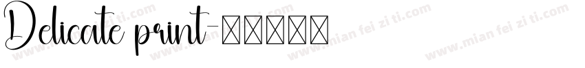 Delicate print字体转换